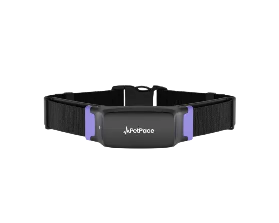 Smart Pet Collar — AI Pet Care Tracker