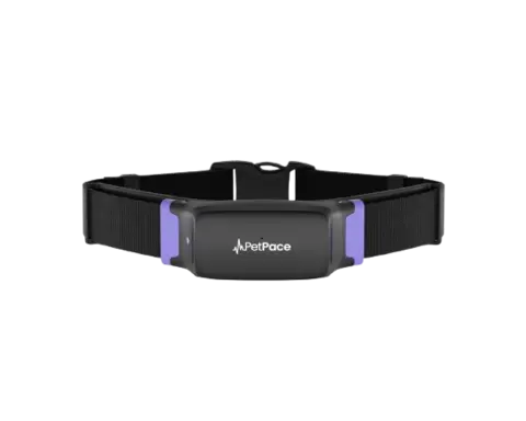 Smart Pet Collar — AI Pet Care Tracker